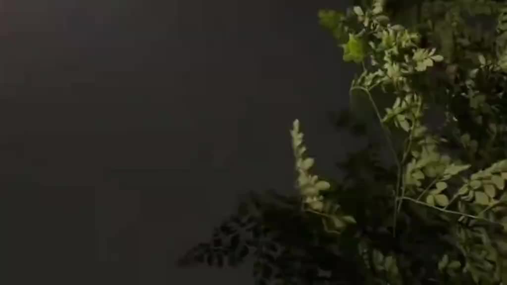 @ভেবাট🥀❤️🩹