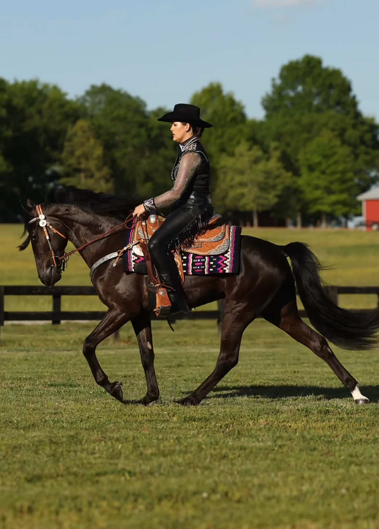 @Miranda | Equine Photographer