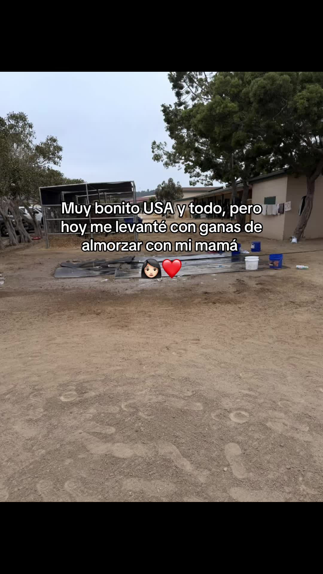 @oscar_sxt
