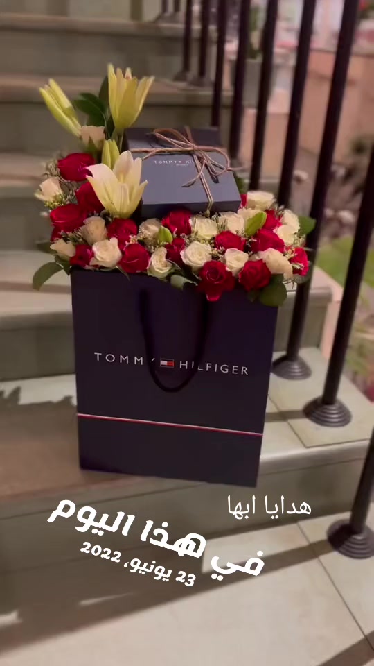 @مندوب ابها