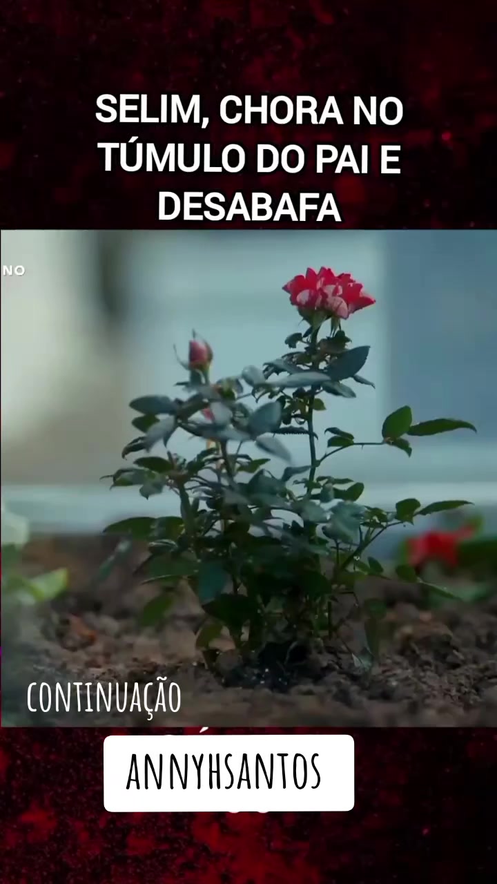 @annyh santos