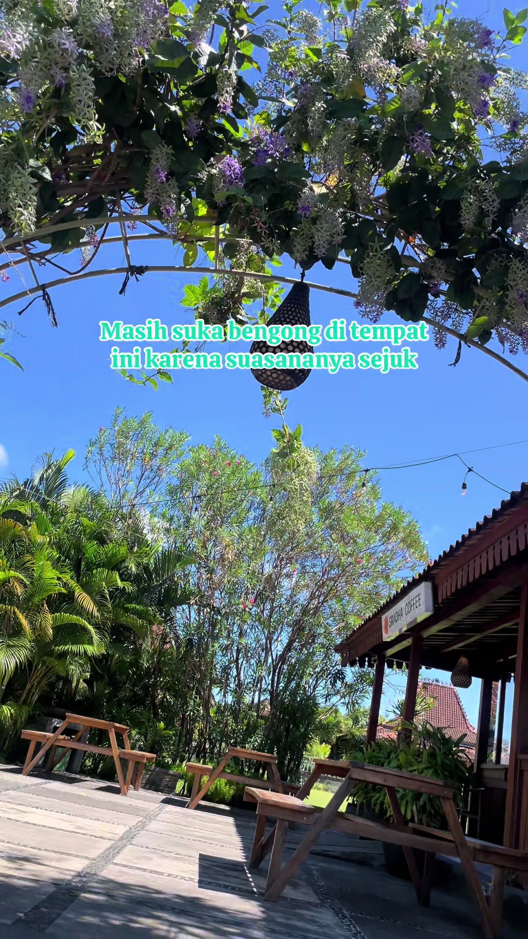 @Balinese Info