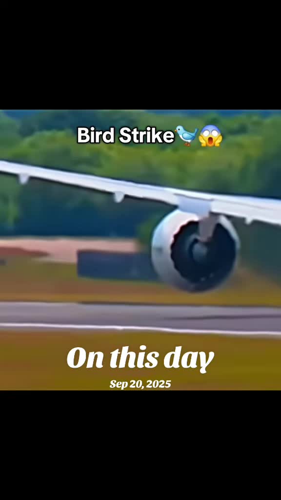 @KPK AVIATION ✈️✈️