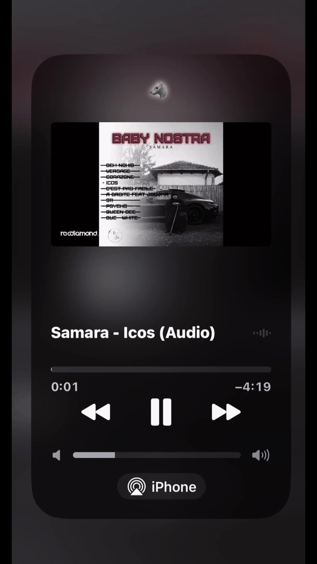 @ELPROFESOR👺