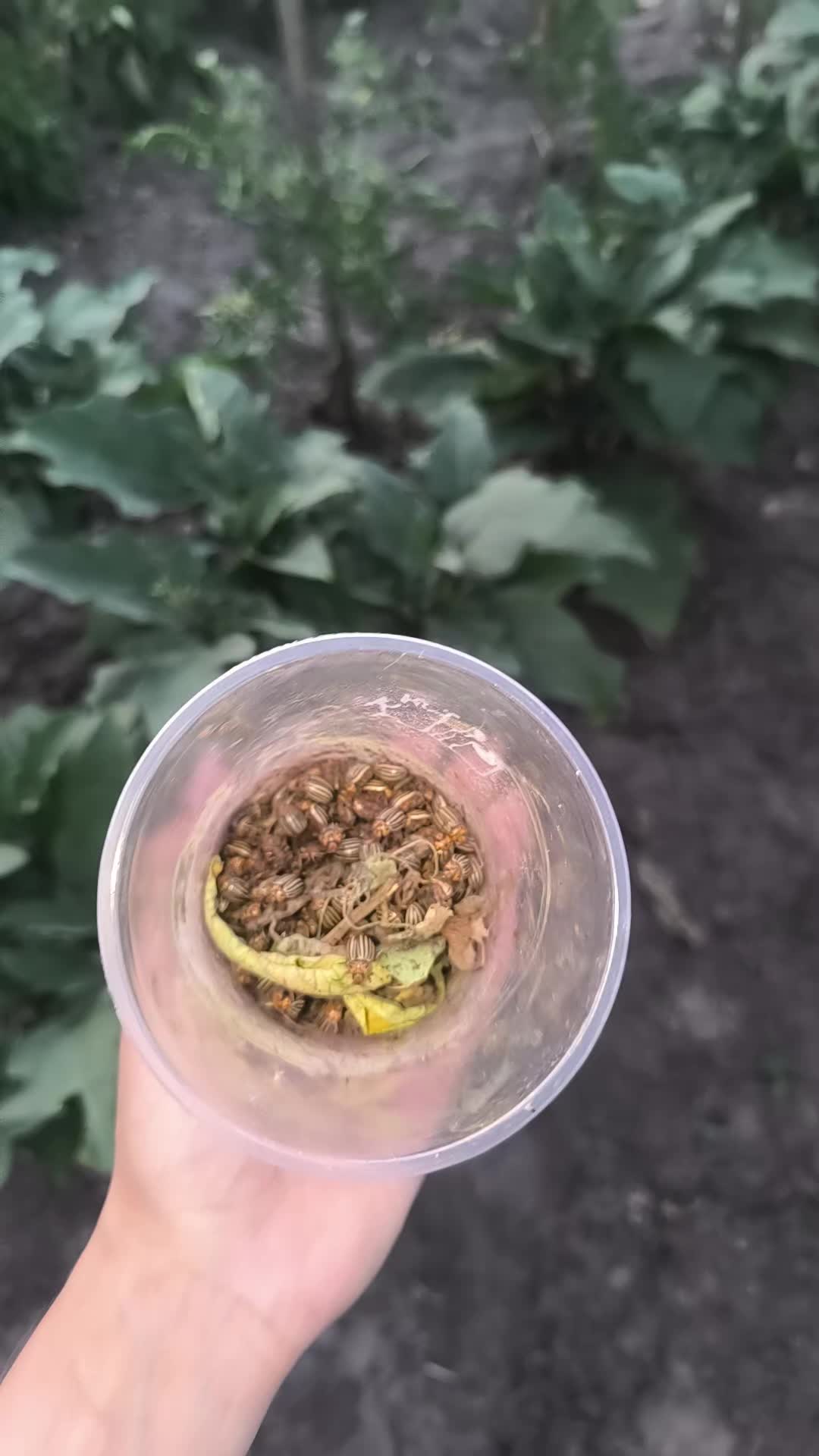 @Филина