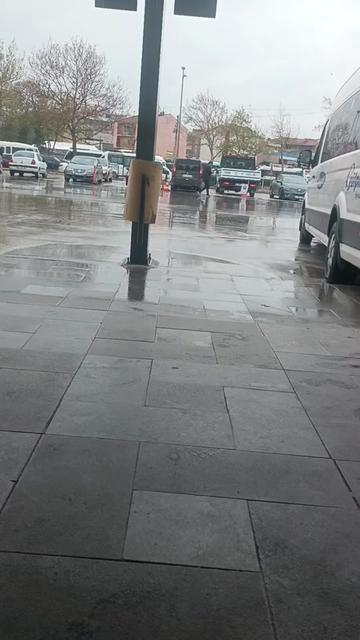@🦂 GÜNEŞ 🦂