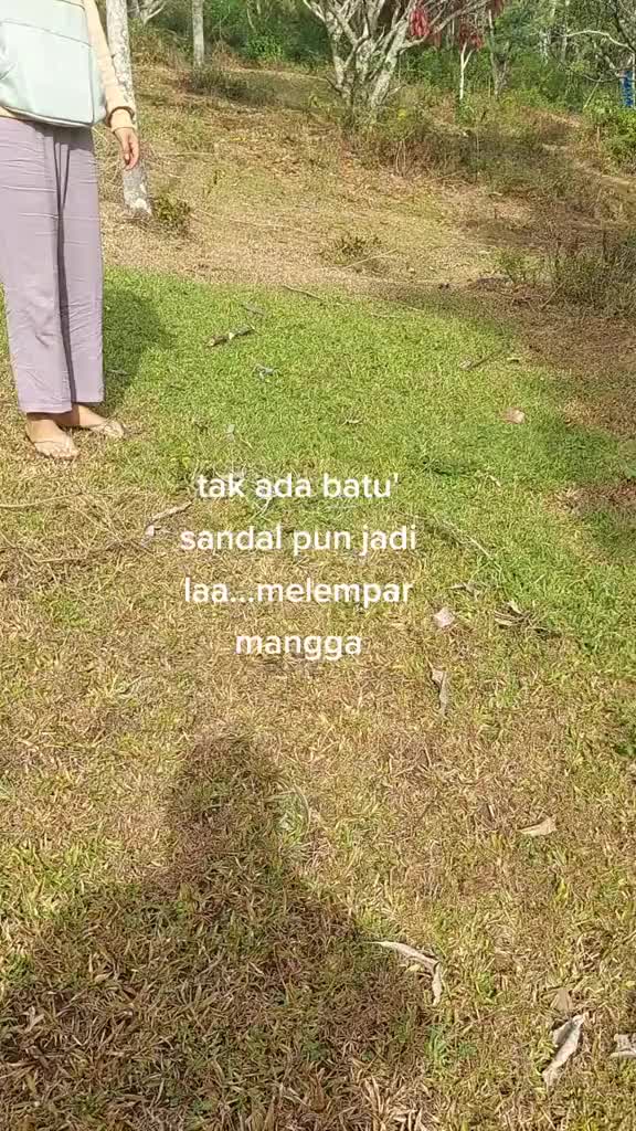 @POBSI DELISERDANG