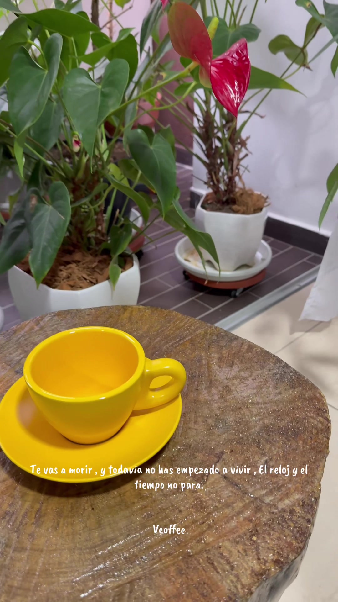 @vincentcoffee2