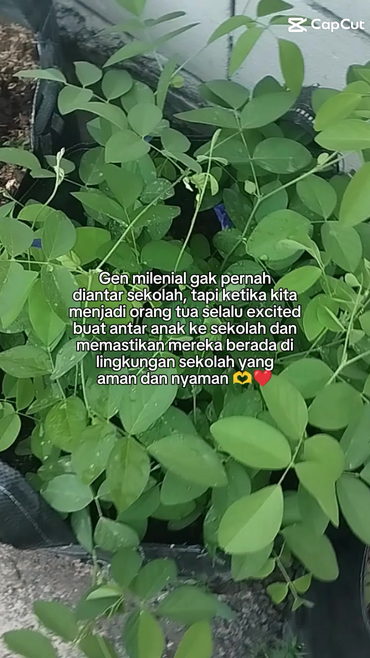 @momhie