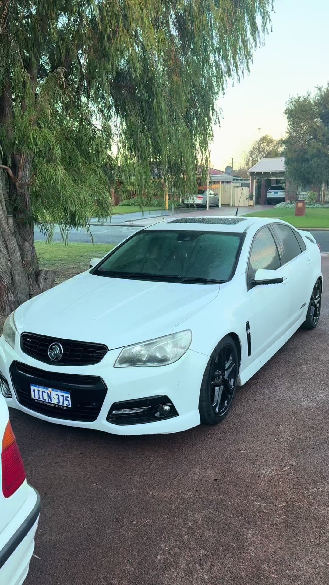 @ANGRY.4L 2.0