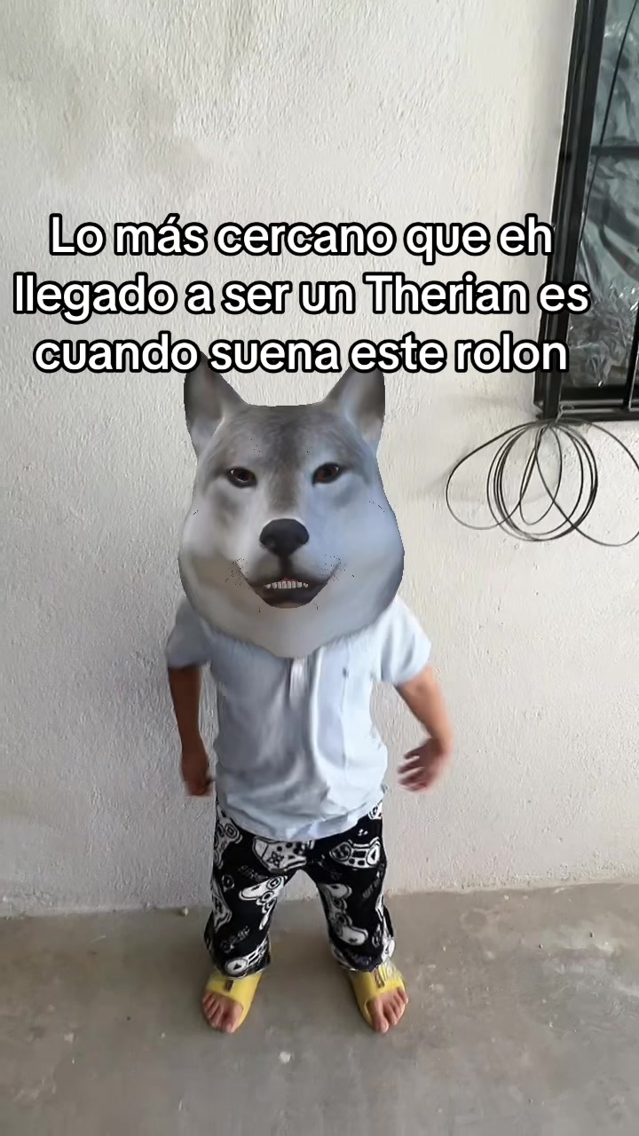 @virlan37