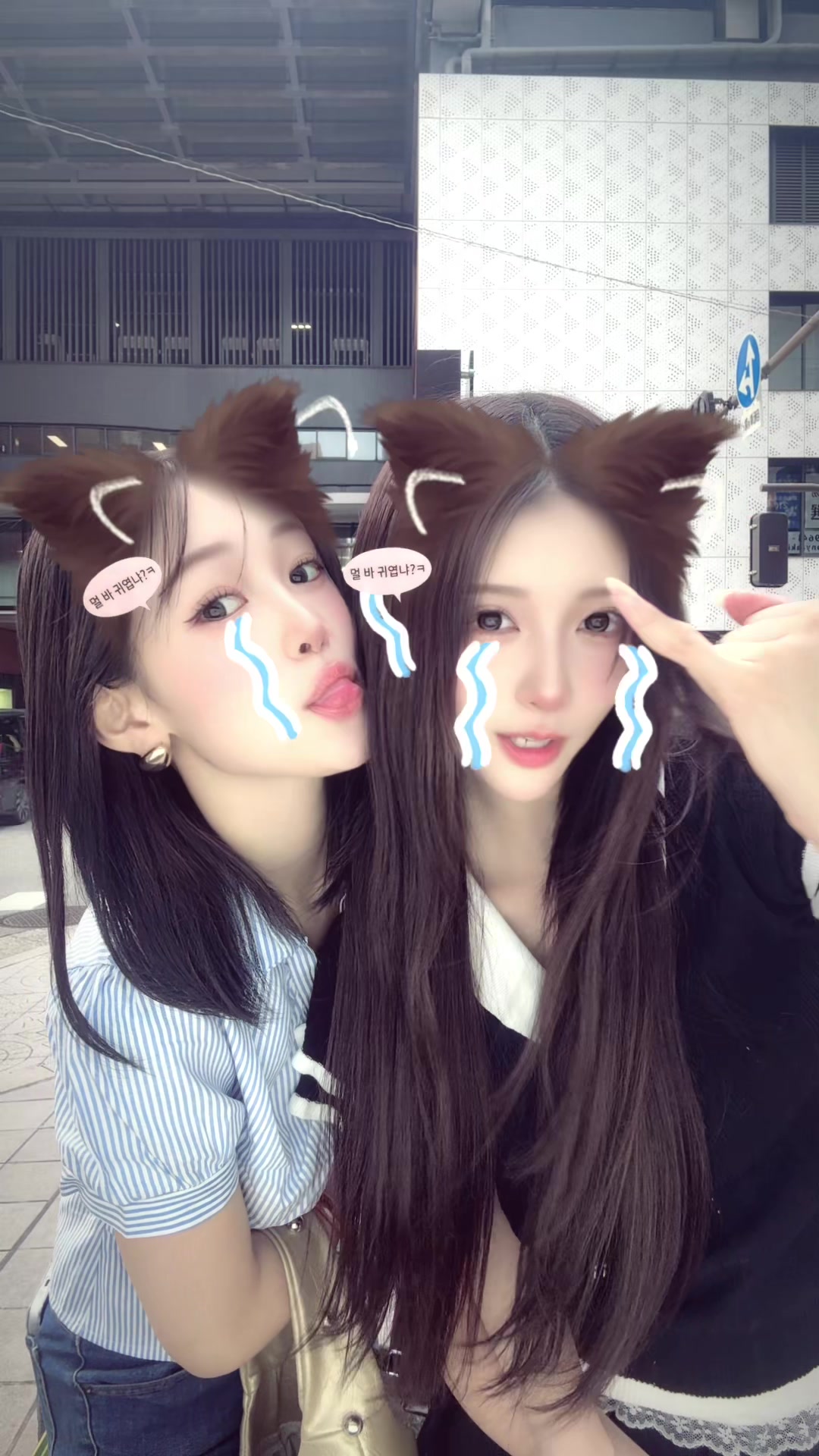 @れねぴ 🐈⬛🤍