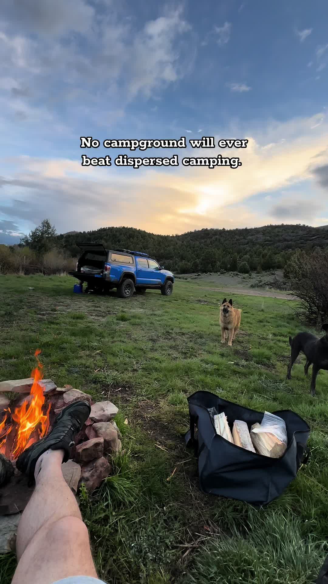 @Silverfox_yota