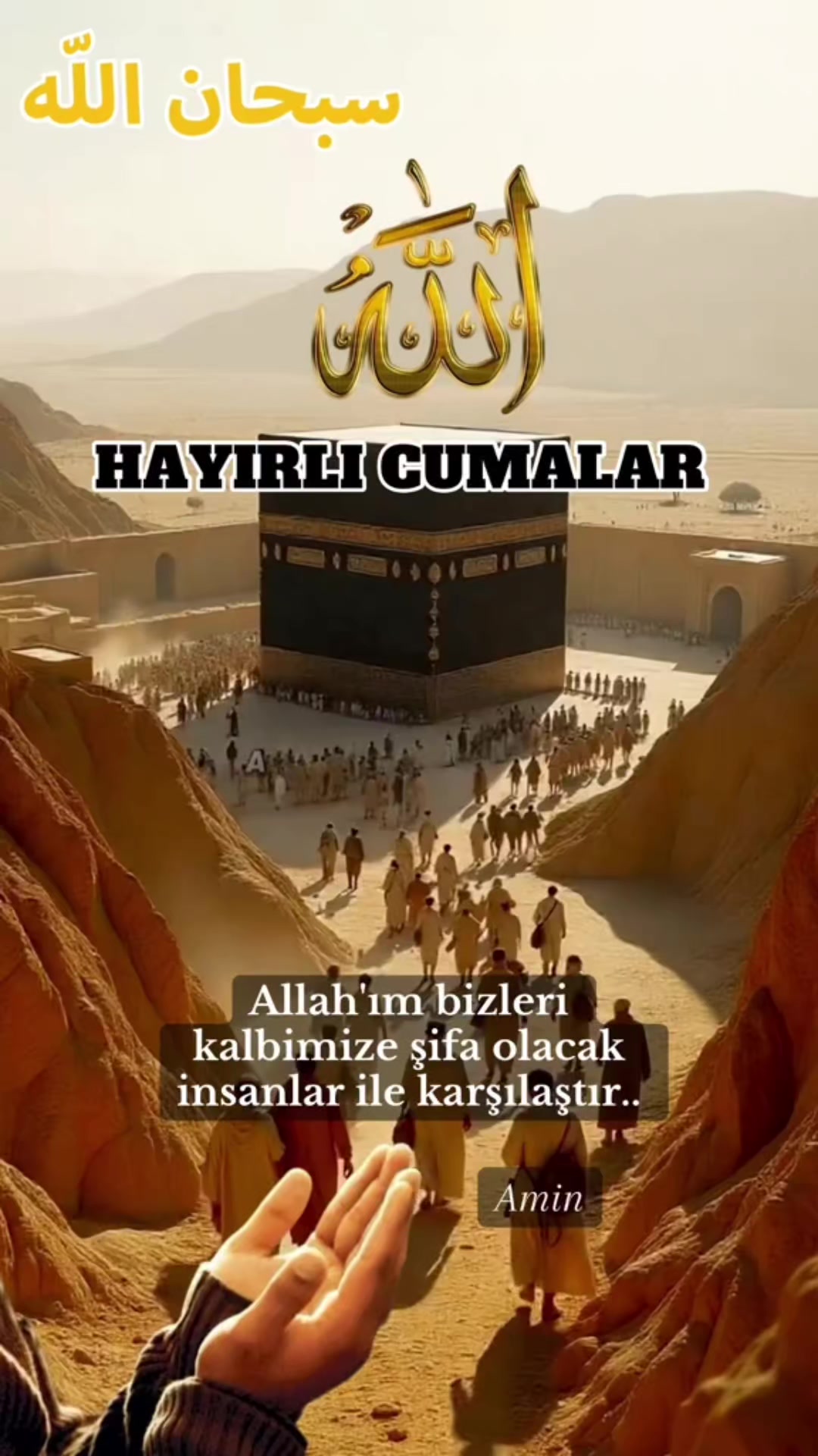 @DELIKANLI   RİZE'Lİ.C&Uuml;NEYT 53