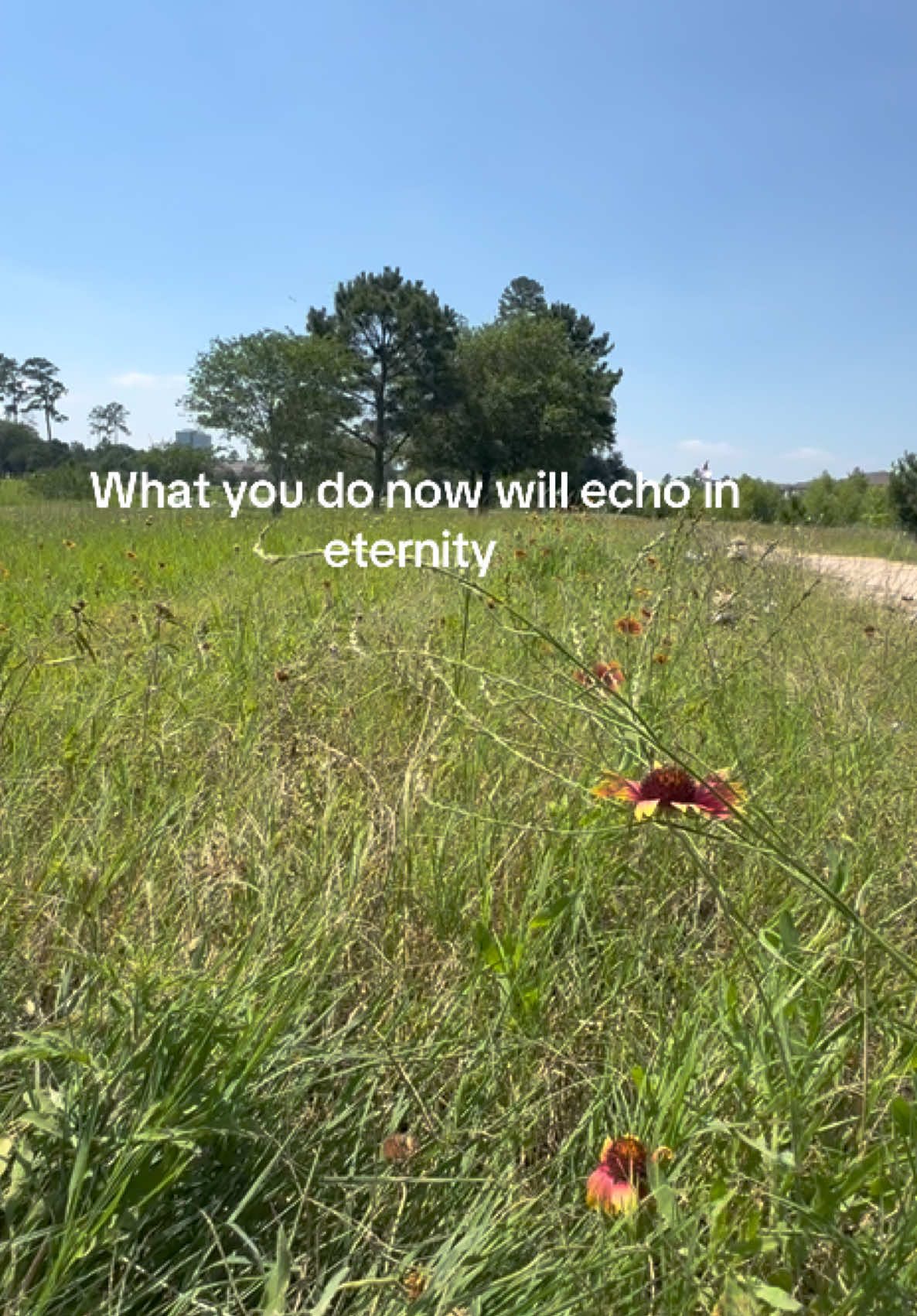 @graceinprogress365