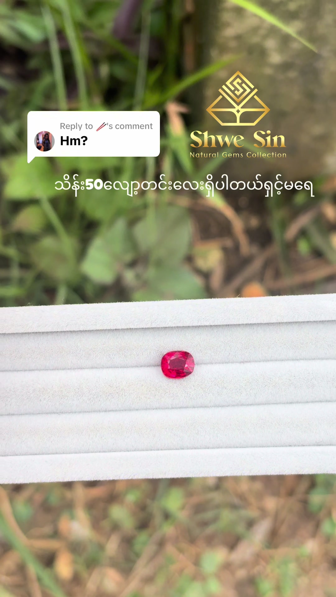 @ShweSin