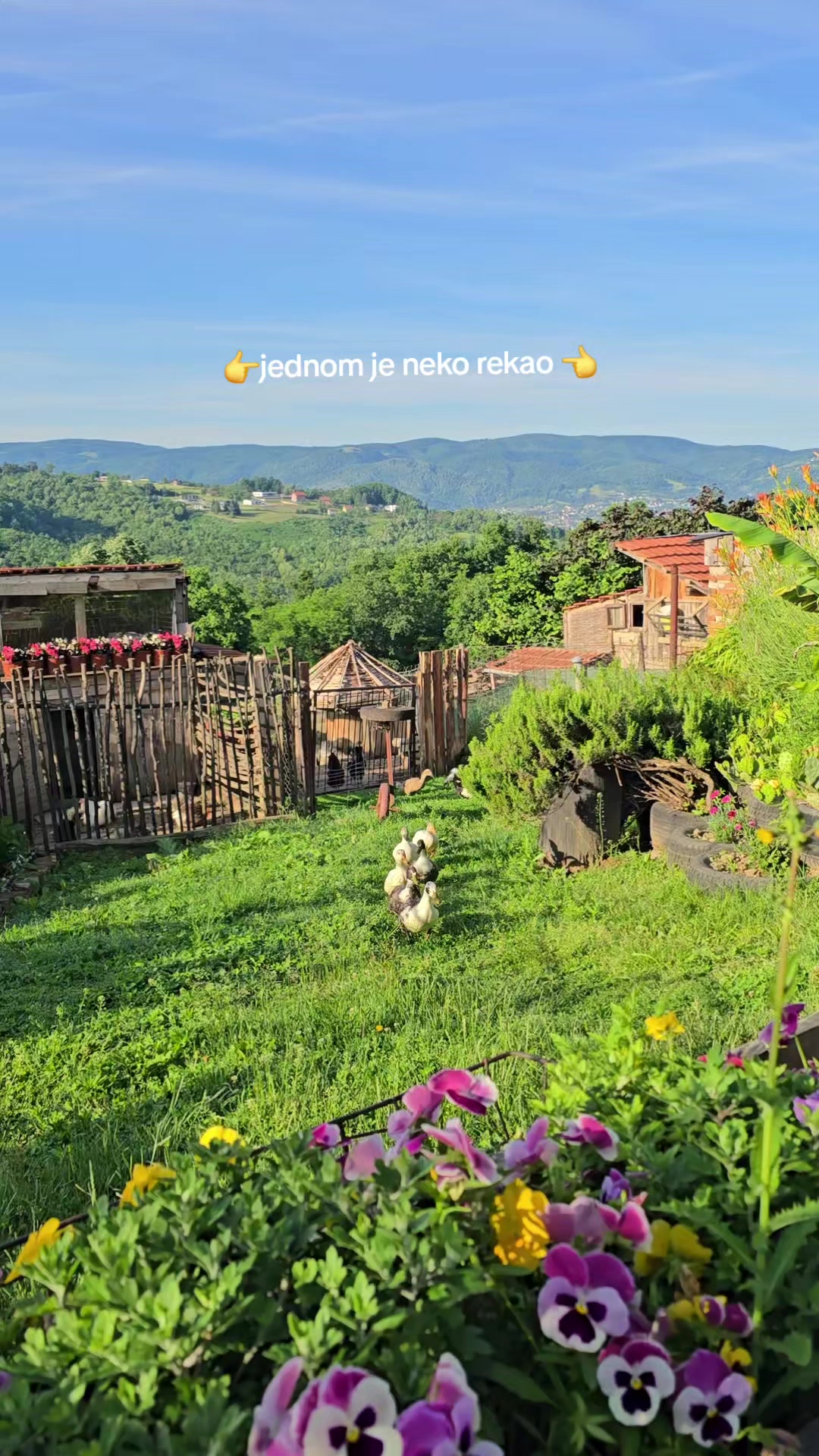 @patkograd