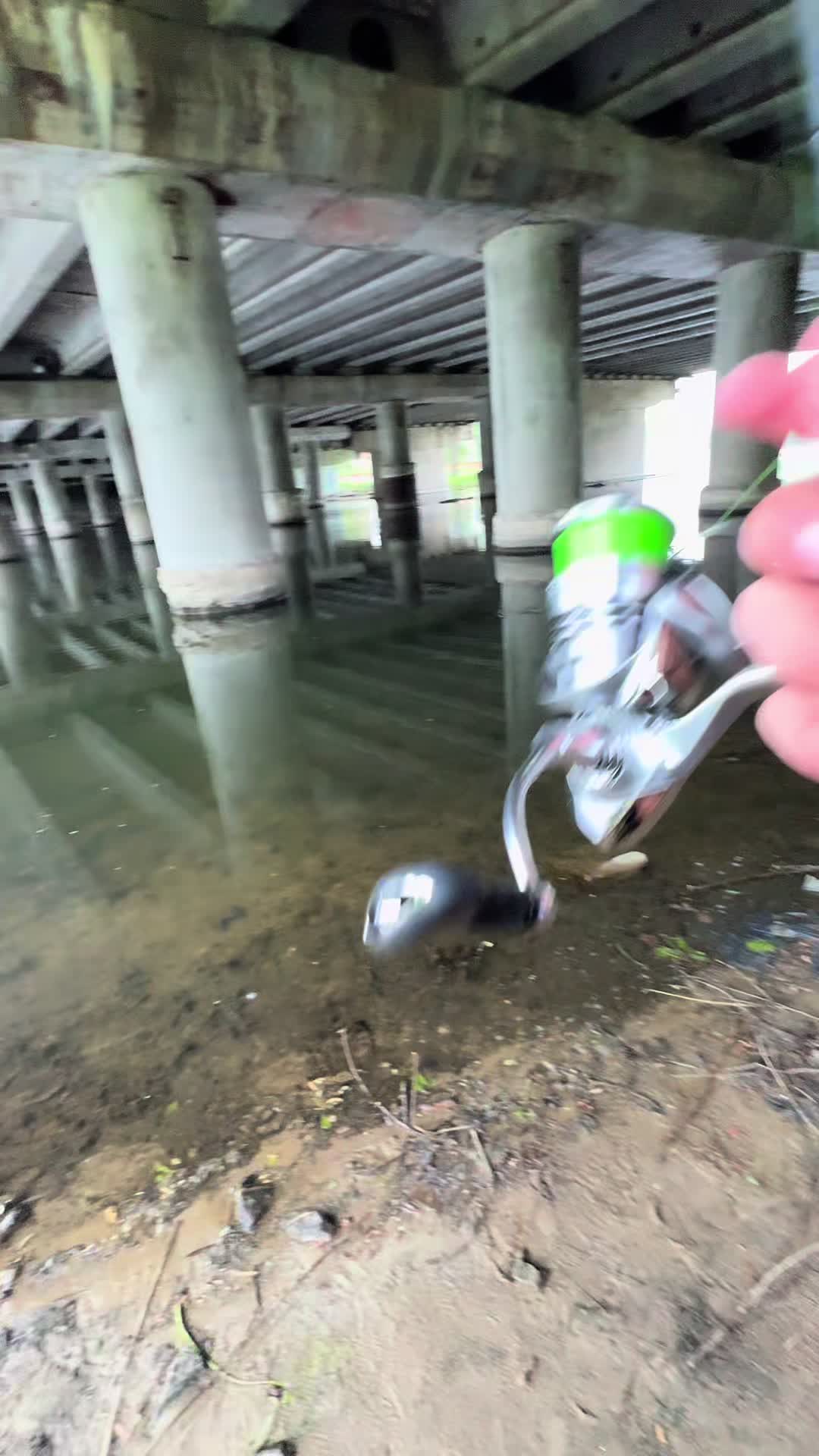 @𝗧𝗚.𝗗𝗬𝗫𝗙𝗜𝗦𝗛🎣