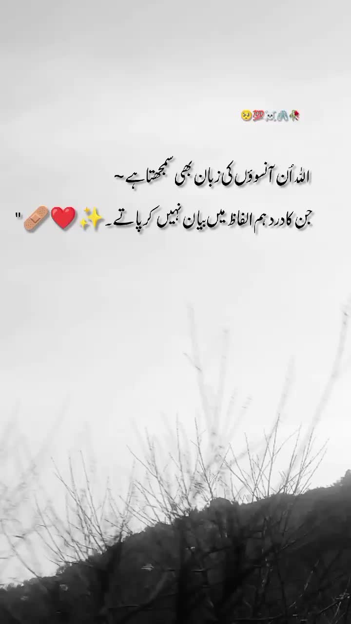 @🦅کشمیری رائٹس 🍁(◕‿-)