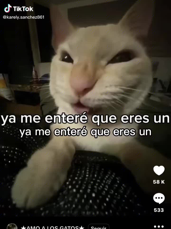 @Ximena♡•°☆