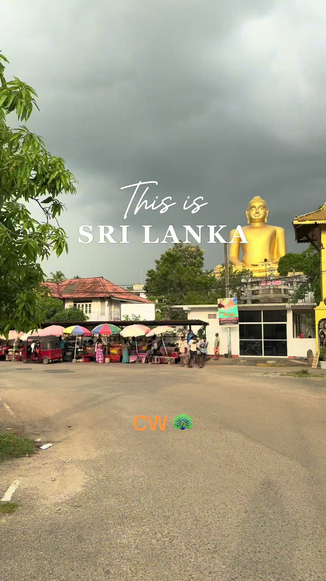 @𝐶𝒉𝑢𝑙𝑎𝑛 𝑊𝑖𝑐kramarathna