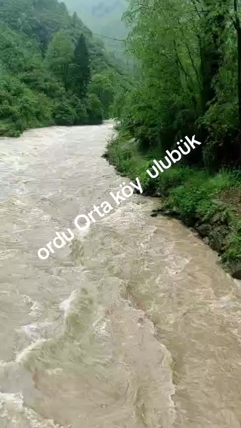 @ordulu Nurcan ERCAN  52💜💜