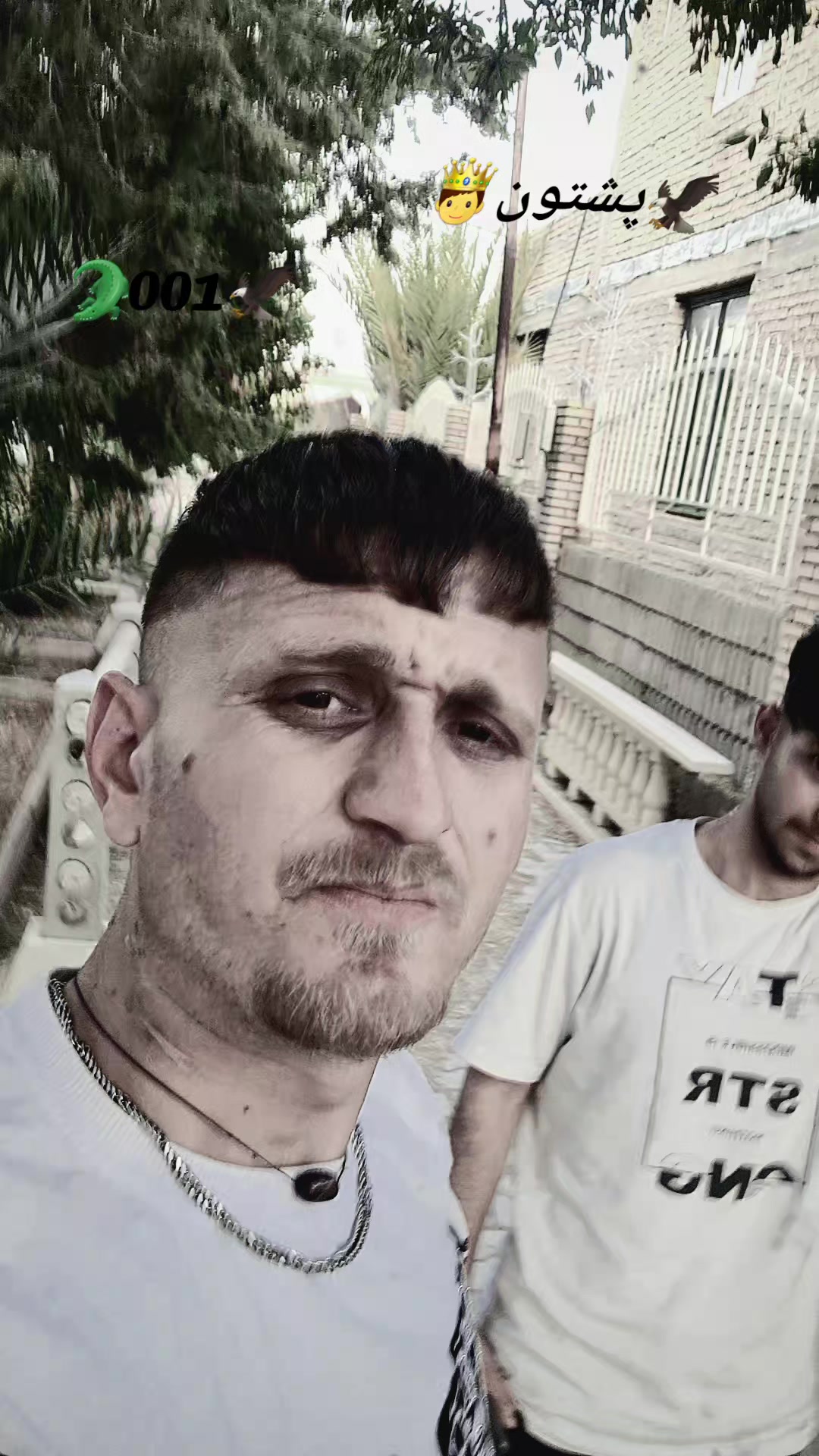 @🦅سلیم🦁خامار🐊مبارز👑