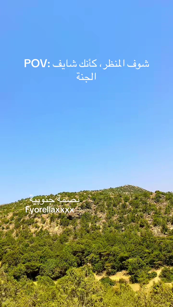 @Fyorella