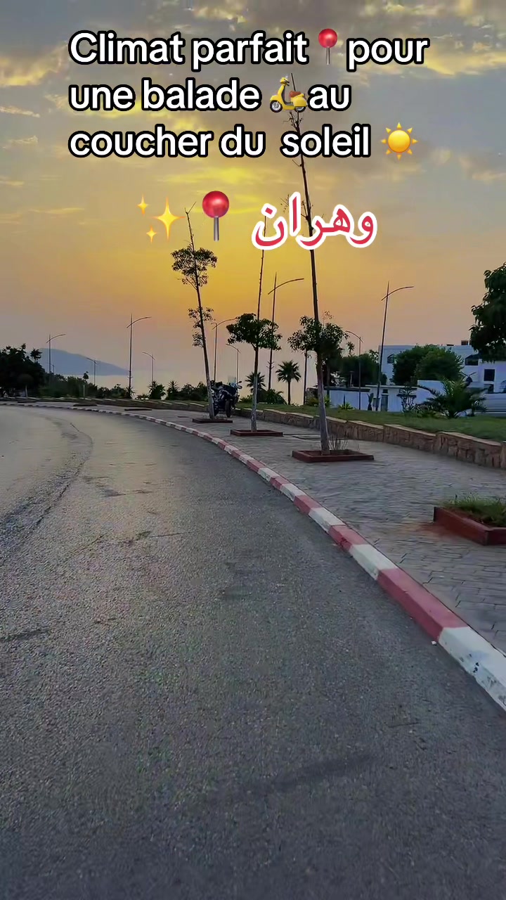 @Algérien oranais🇩🇿🥷