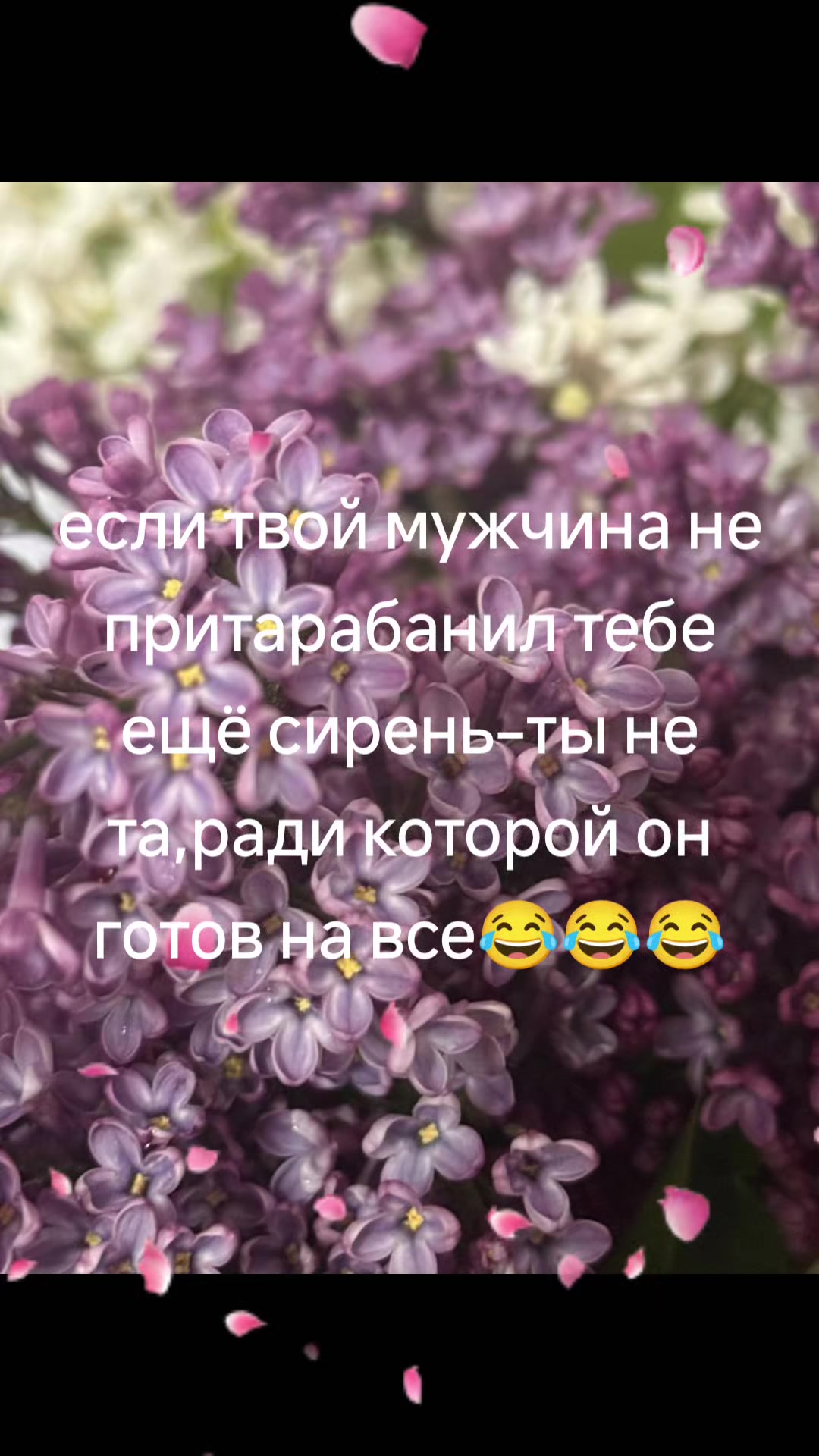 @Виктория Беркус
