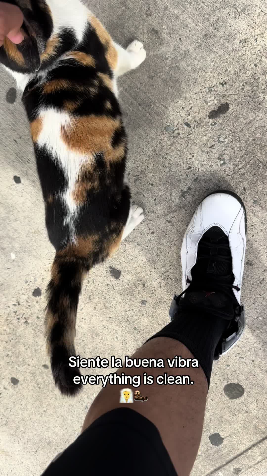 @Omar