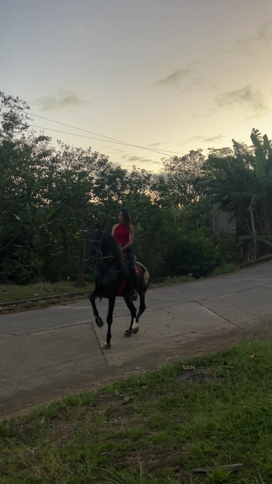 @𝑃𝑎𝑜𝑙𝑎 𝒮🌸