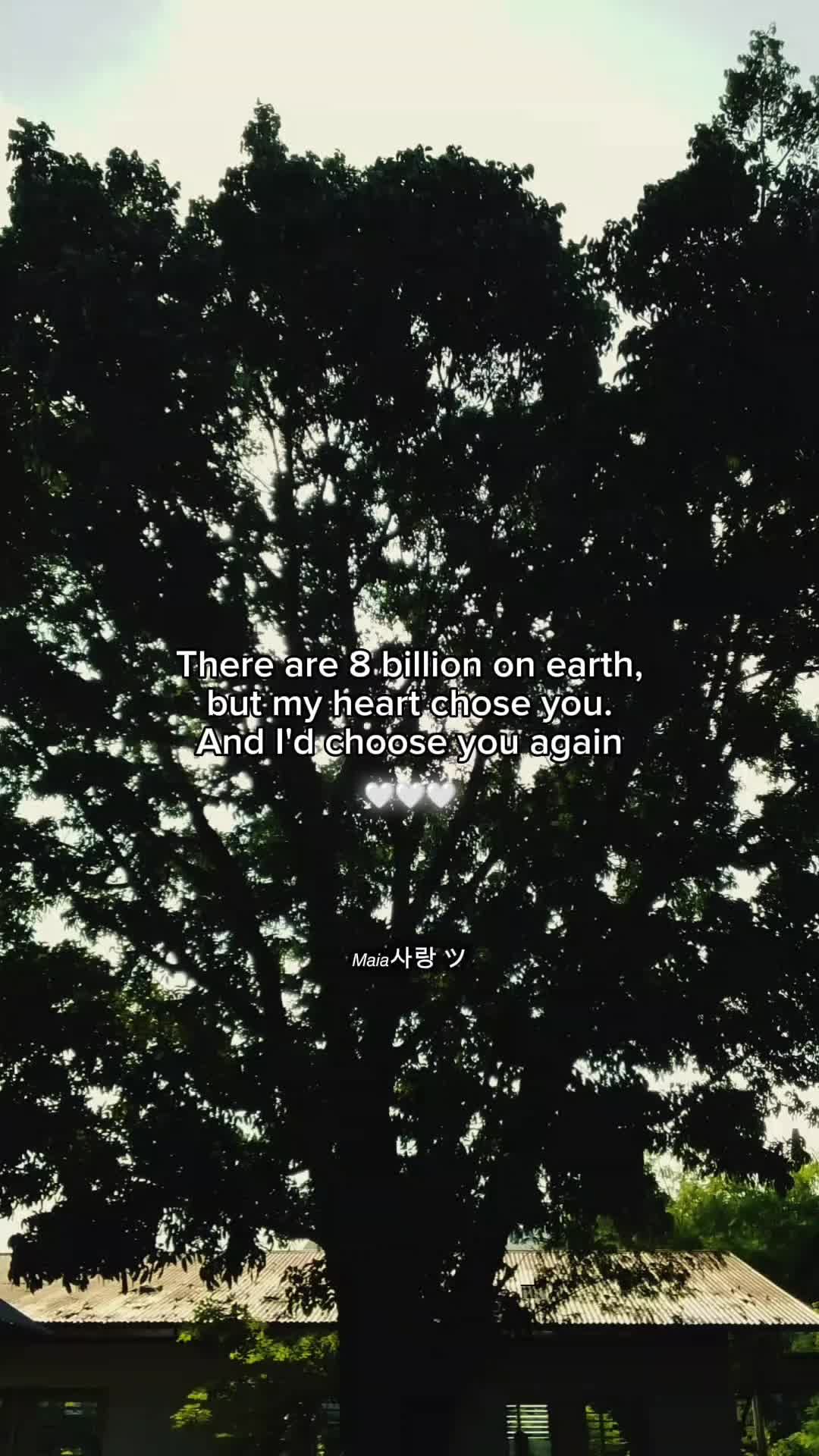 @𝘔𝘢𝘪𝘢사랑 ツ