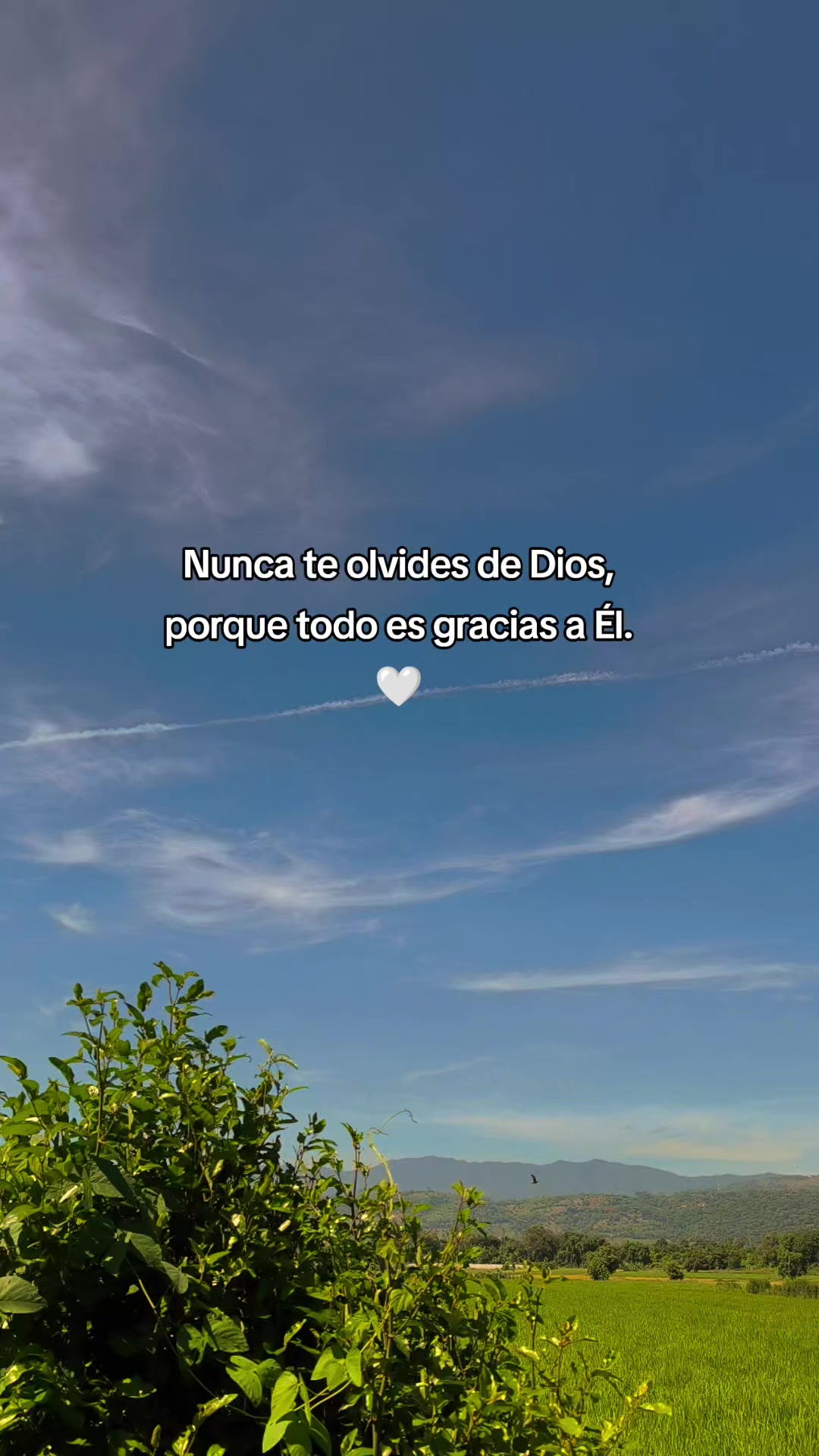 @Any✨️