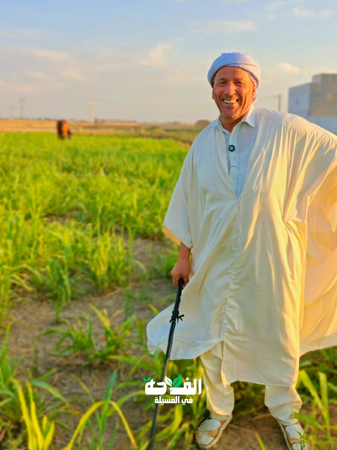 @الفلاحة في مسيلة
