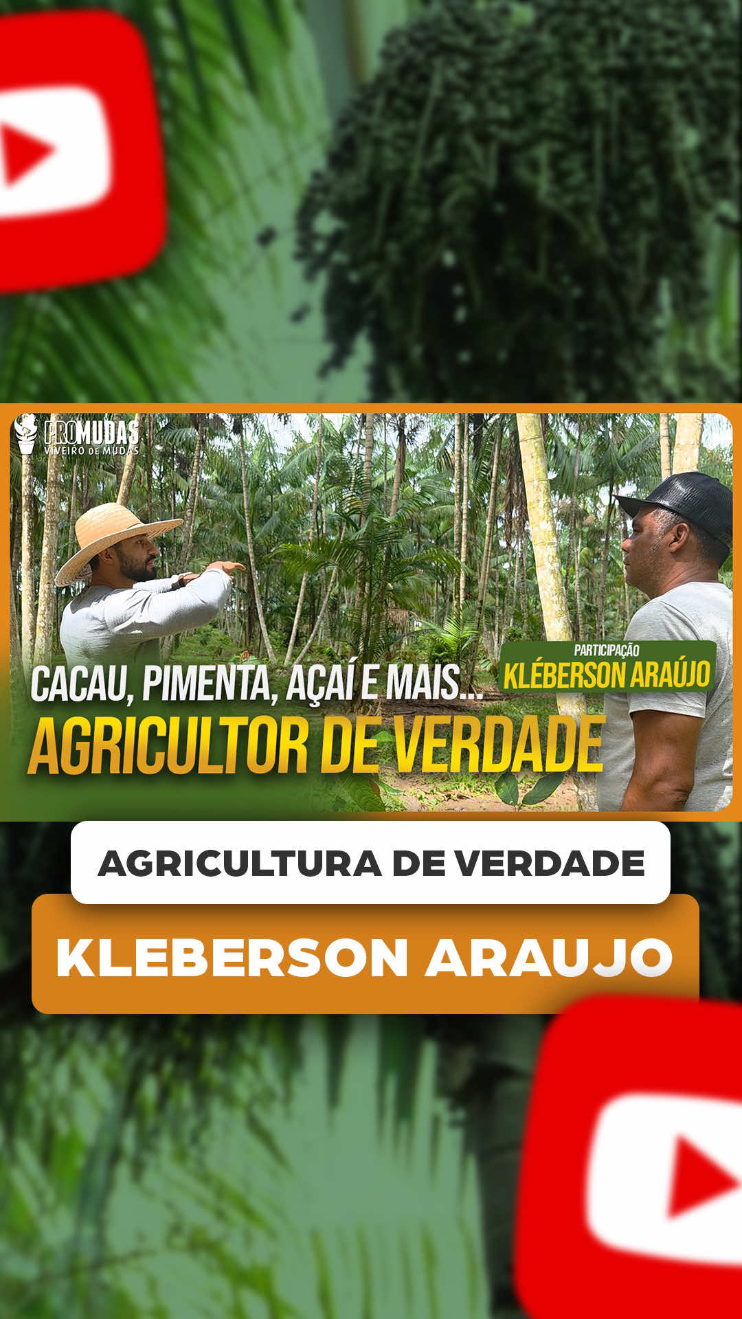 @ViveiroProMudas