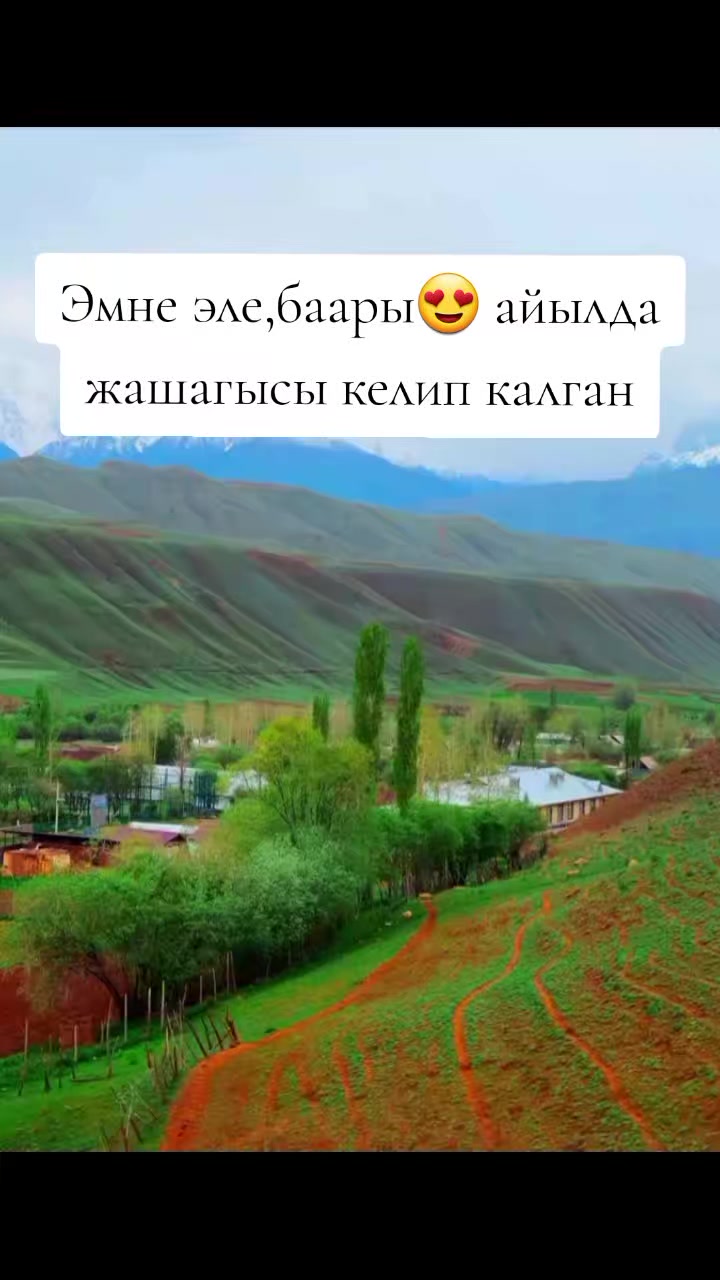 @Elmira.z