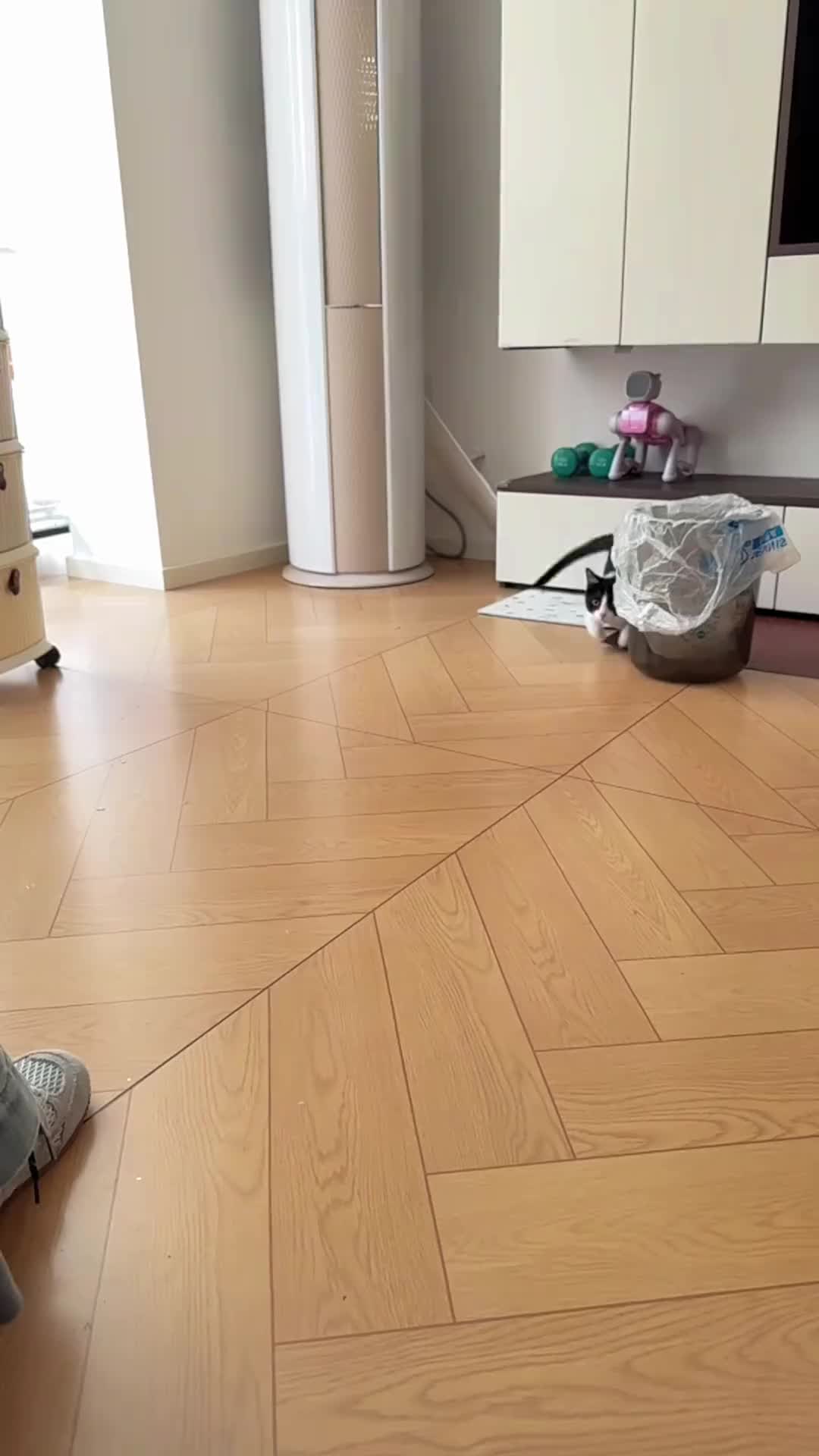 @平凡無奇