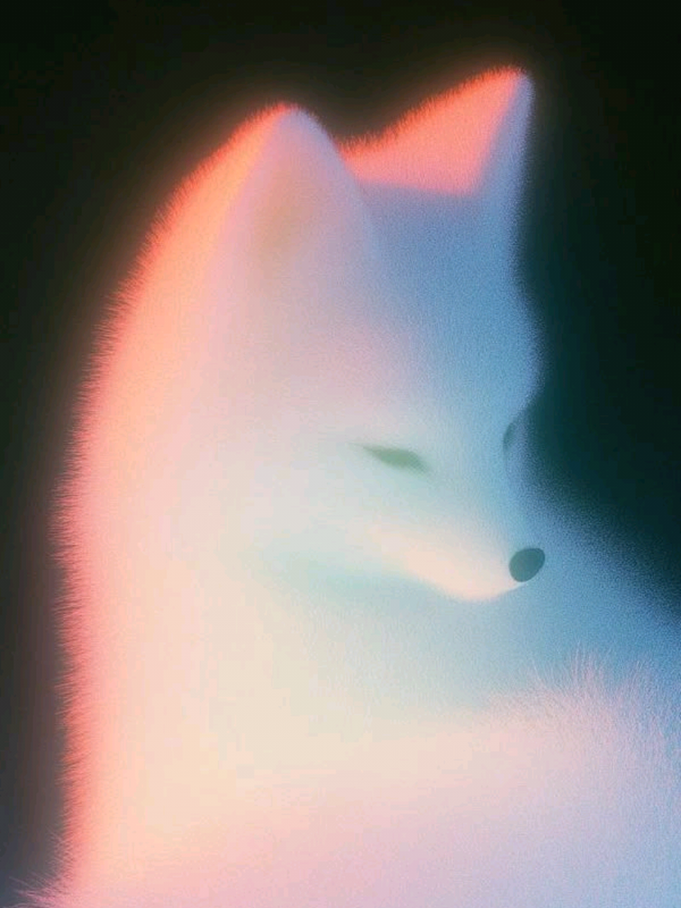@💫Åřĩñķå💫