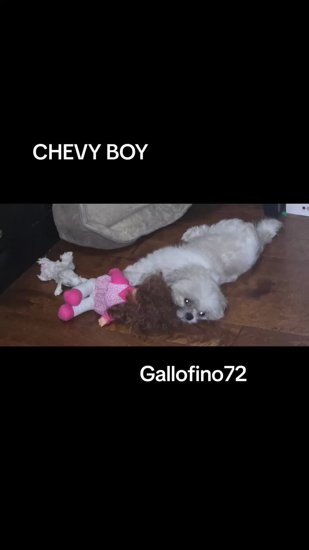 @ElGalloFino