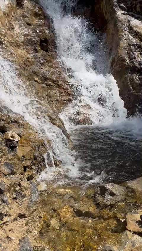 @Güler Kaya