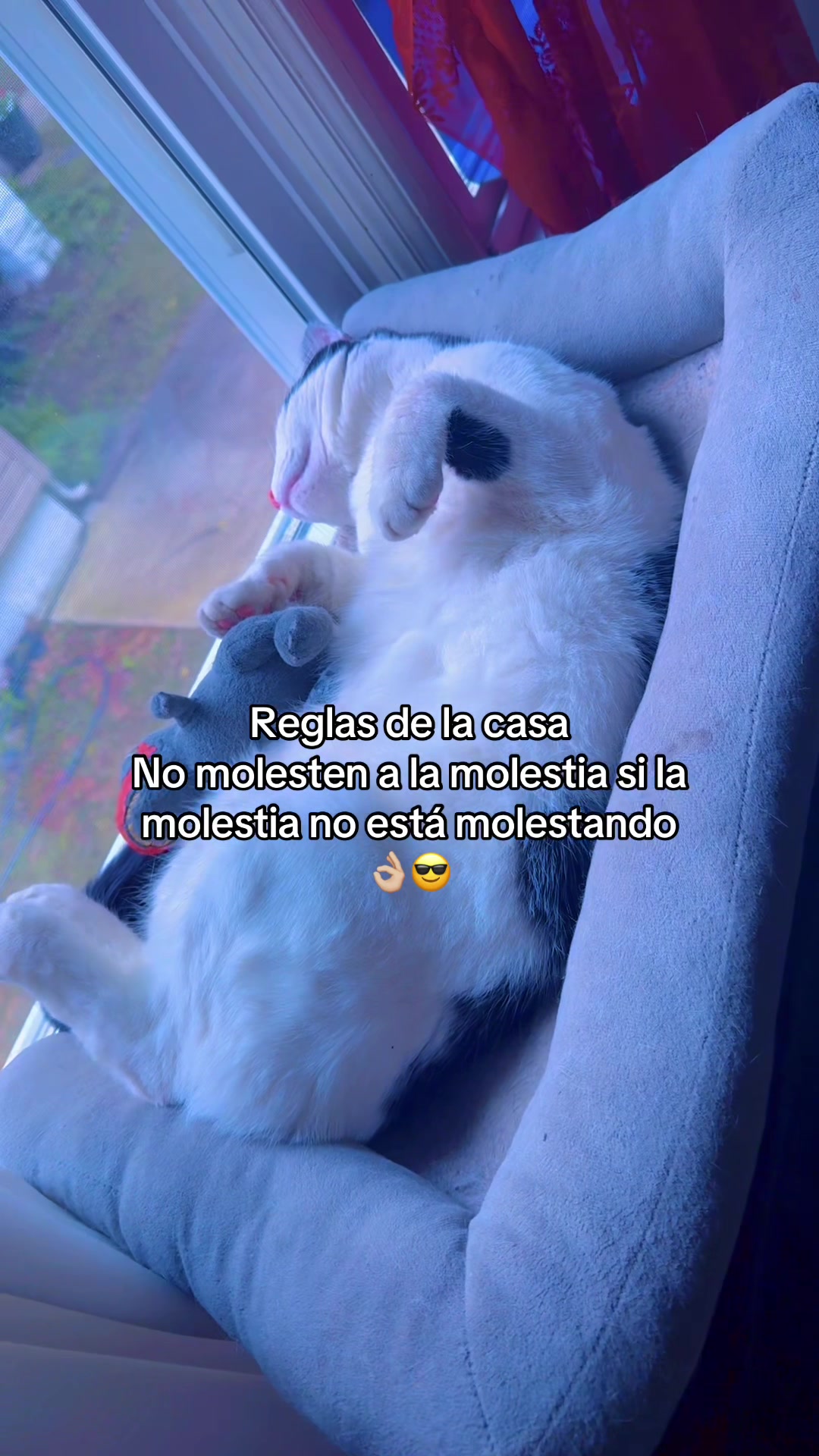 @Luzma1802