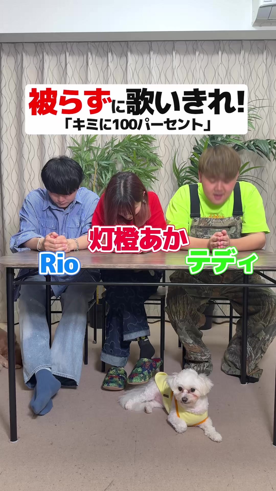 @WHITEBOX【official】