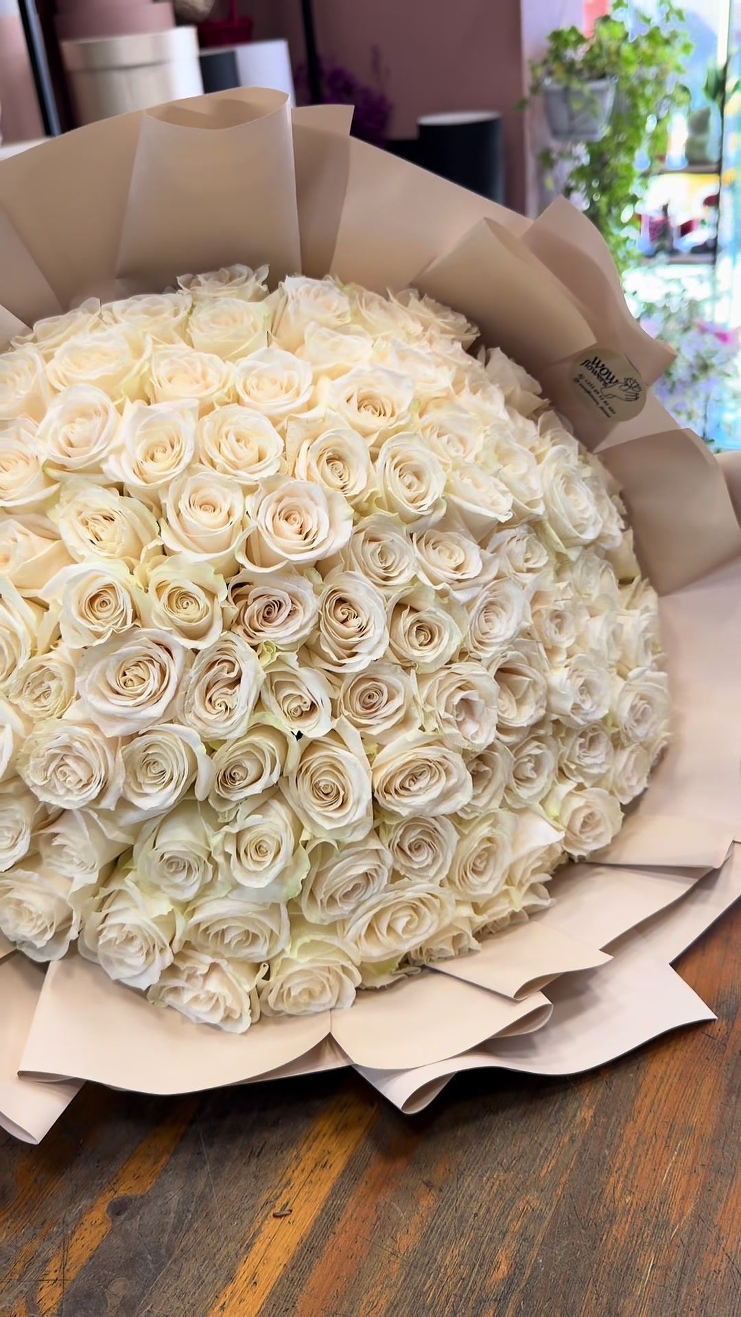 @wowflower.tirana