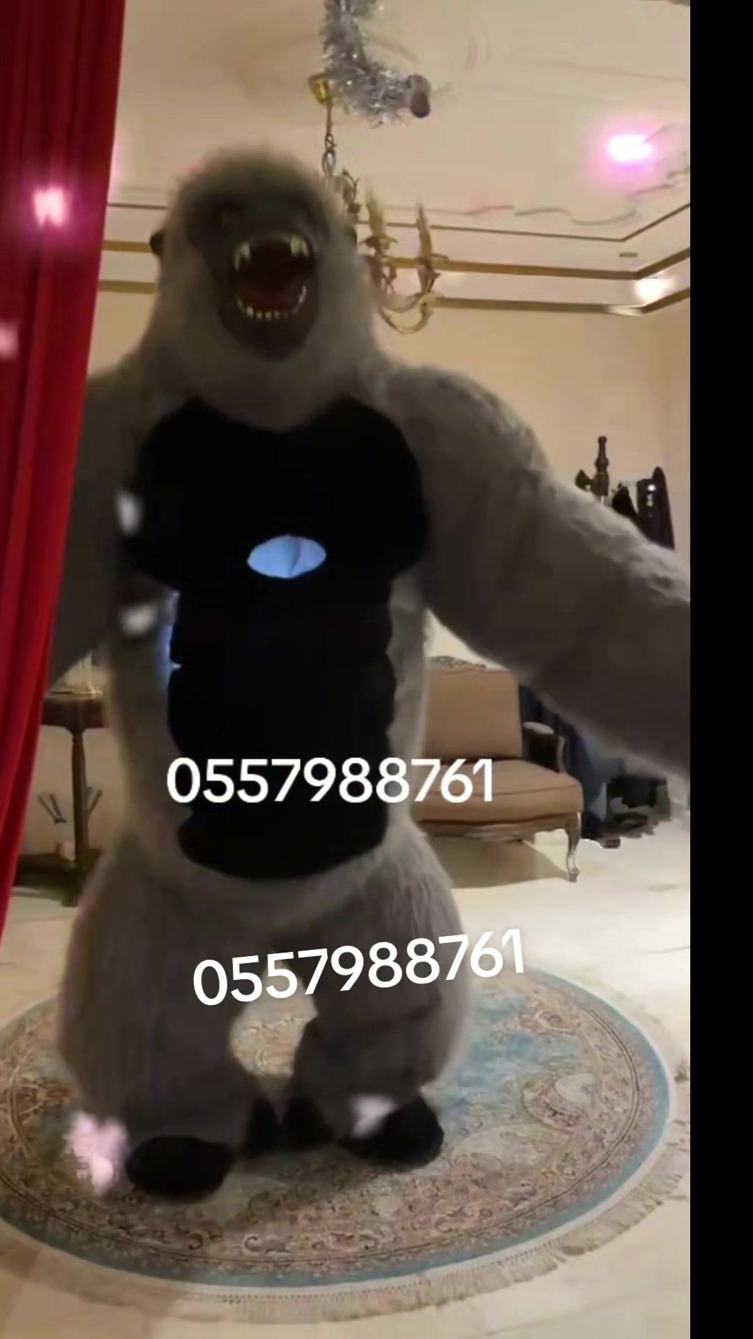 @🤡 مهرجه فطوووم🤡