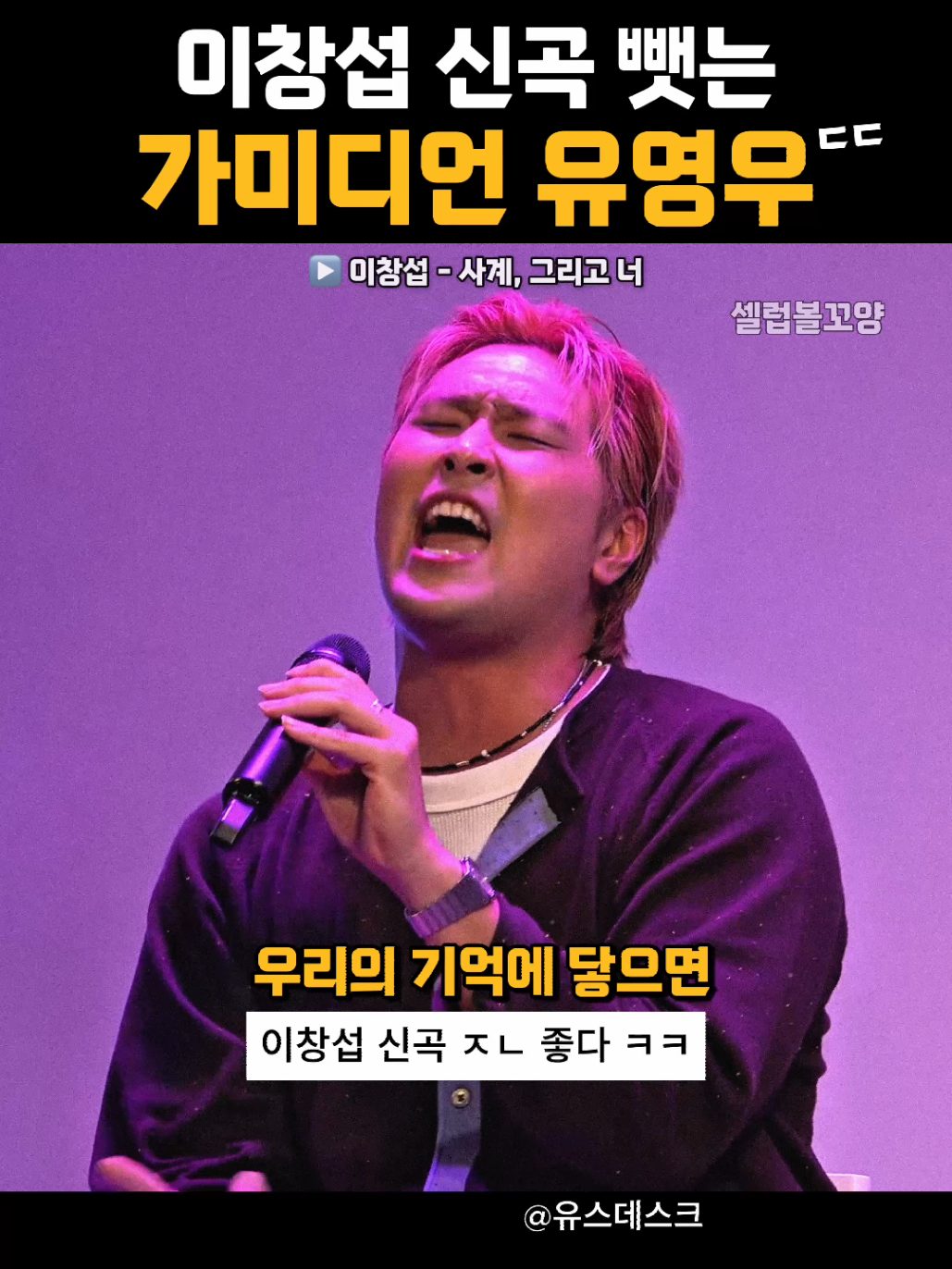 @셀럽볼꼬양