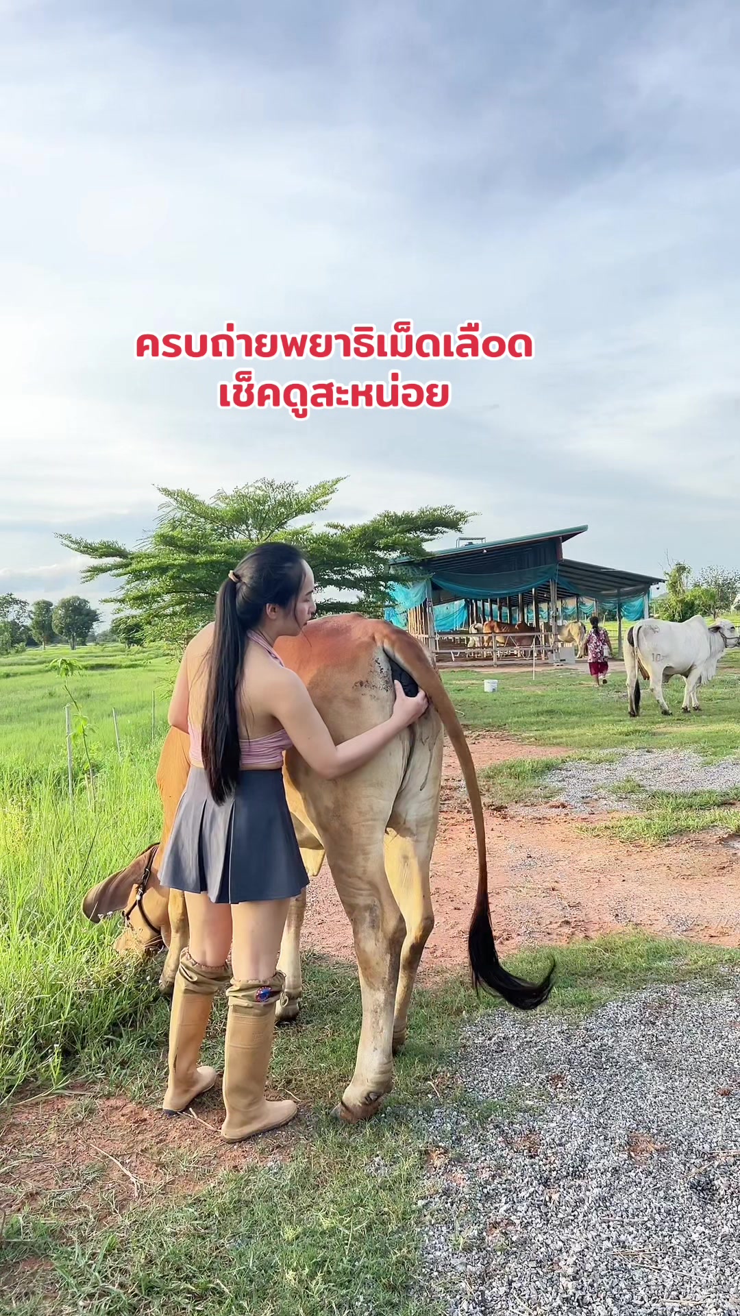 @AA Aranya Farm
