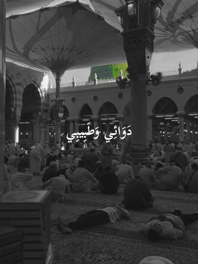 @꧁♛ 𝑧𝑎𝑟𝑖𝑖𝑠𝑡𝑜𝑟𝑖𝑒𝑠 ♛꧂