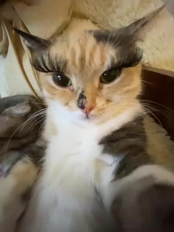 @:(: