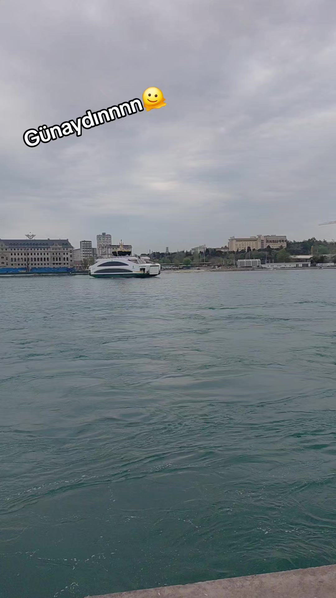@LAZKizi❤️61💙53💚💙⚜️⚜️